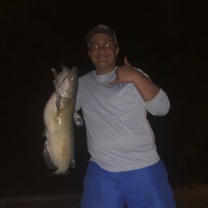 Meet your Posher, Aaron